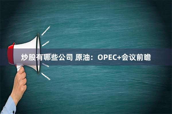 炒股有哪些公司 原油：OPEC+会议前瞻