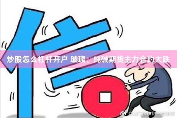 炒股怎么杠杆开户 玻璃、纯碱期货主力合约大跌