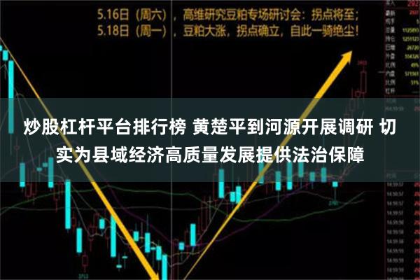 炒股杠杆平台排行榜 黄楚平到河源开展调研 切实为县域经济高质量发展提供法治保障