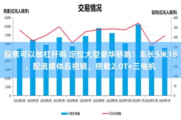 股票可以做杠杆吗 定位大型豪华轿跑！车长5米18，配流媒体后视镜，搭载2.0T+三电机