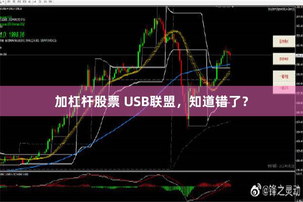 加杠杆股票 USB联盟，知道错了？