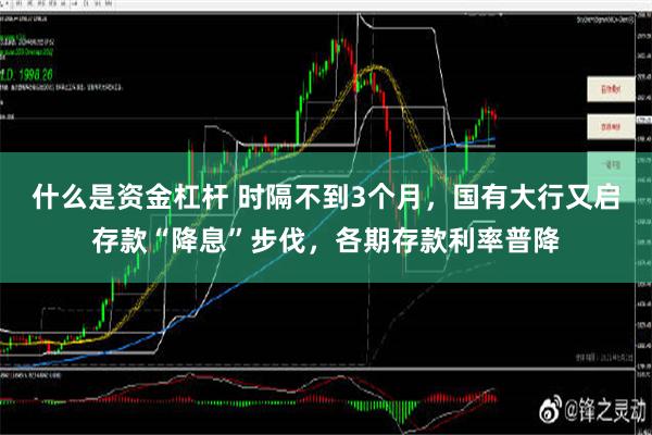 什么是资金杠杆 时隔不到3个月，国有大行又启存款“降息”步伐，各期存款利率普降