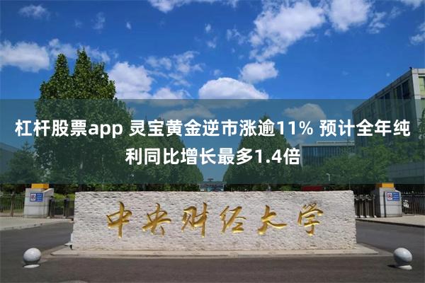 杠杆股票app 灵宝黄金逆市涨逾11% 预计全年纯利同比增长最多1.4倍