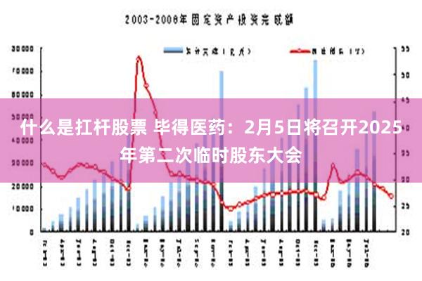 什么是扛杆股票 毕得医药：2月5日将召开2025年第二次临时股东大会