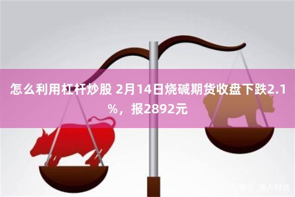 怎么利用杠杆炒股 2月14日烧碱期货收盘下跌2.1%，报2892元