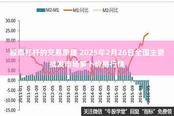 股票杠杆的交易原理 2025年2月26日全国主要批发市场萝卜价格行情